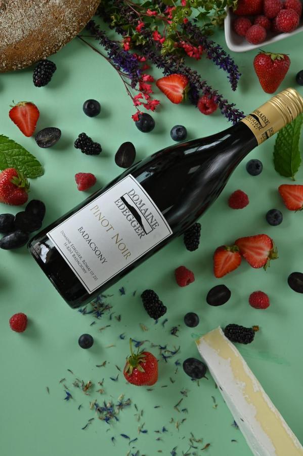 バダチョニトマイ Domaine Edegger - Organic Winery Badacsonyアパートホテル エクステリア 写真